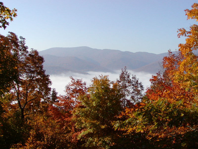 Land for sale in Rochester, Vermont